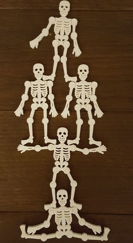 Skeleton 7cm2.JPG